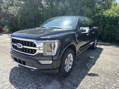Agate Black Metallic 2021 Ford F-150 Platinum