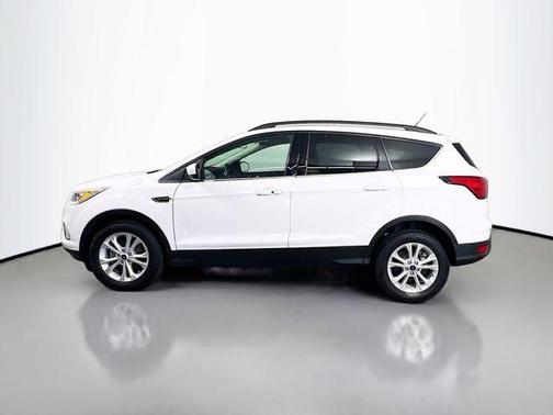 Oxford White 2019 Ford Escape SEL