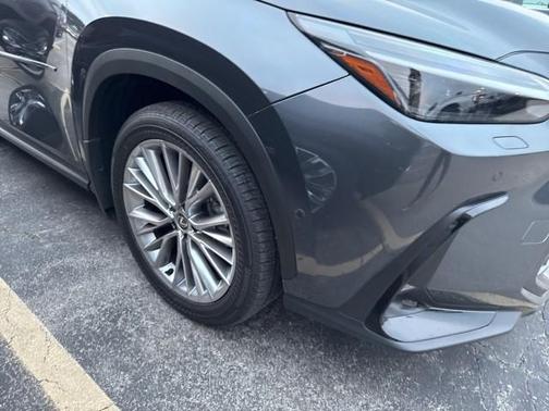 2025 Lexus NX 350 Luxury