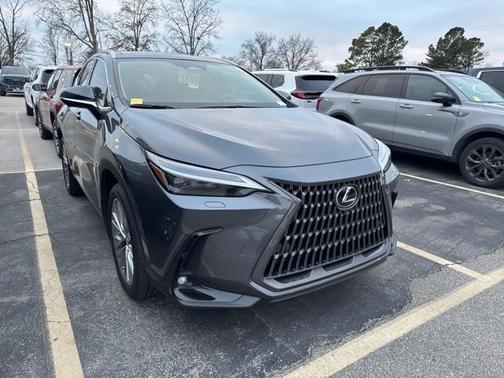 2025 Lexus NX 350 Luxury
