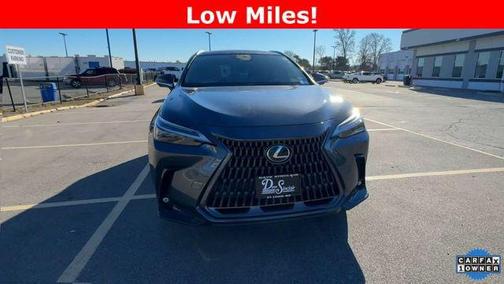 2025 Lexus NX 350 Luxury