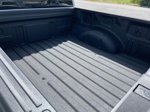 AVALANCHE 2024 Ford F-150 TREMOR