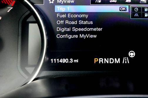 Magnetic 2017 Ford F-150 Raptor