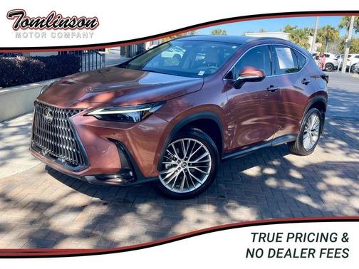 2025 Lexus NX 350 NX 350 Luxury AWD