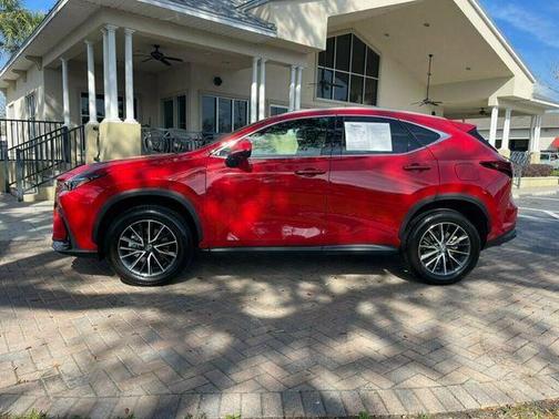 2025 Lexus NX 250 Base