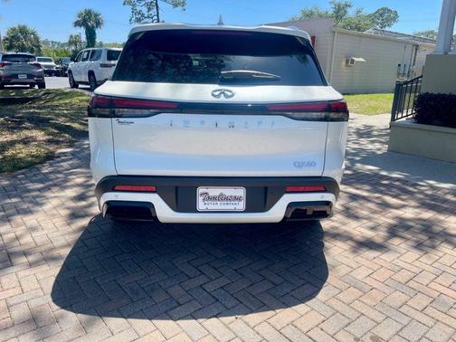 Majestic White 2025 INFINITI QX60 Luxe