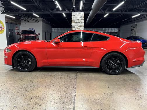 2019 Ford Mustang EcoBoost