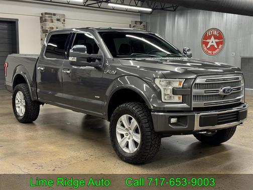2015 Ford F-150 Platinum