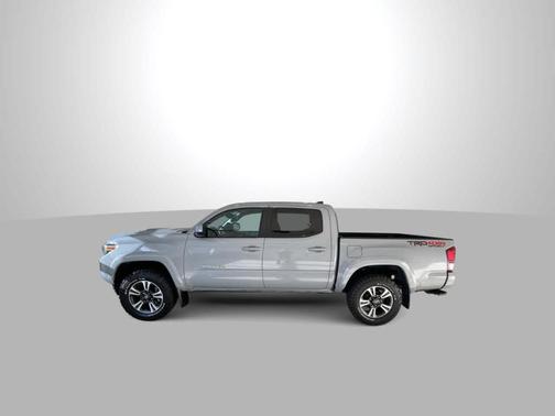 Cement 2019 Toyota Tacoma TRD Sport