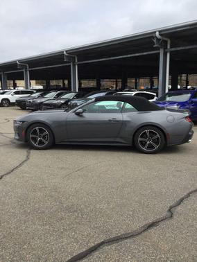 Gray Metallic 2024 Ford Mustang EcoBoost Premium