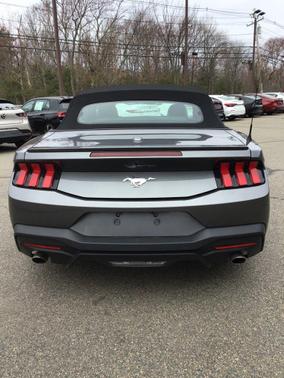 Gray Metallic 2024 Ford Mustang EcoBoost Premium