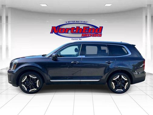 Panthera Metal 2025 Kia Telluride S