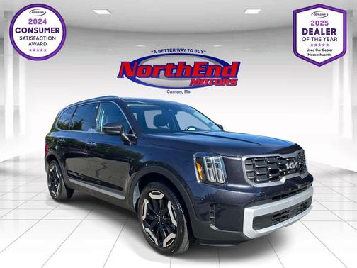 Panthera Metal 2025 Kia Telluride S