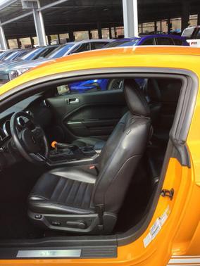 2007 Ford Shelby GT500 Base