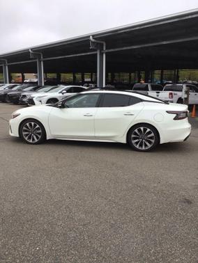 Pearl White Tricoat 2023 Nissan Maxima 3.5 Platinum