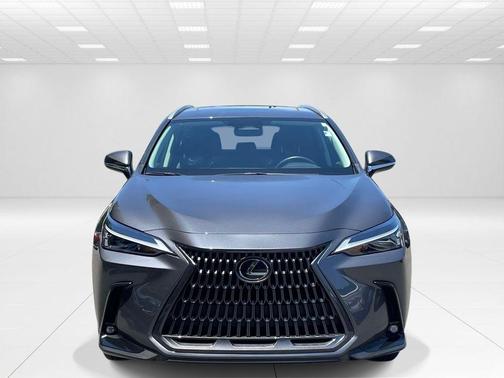Gray 2024 Lexus NX 350 Base