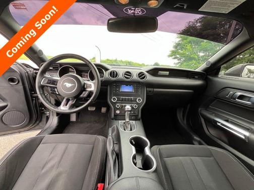 Magnetic 2019 Ford Mustang EcoBoost