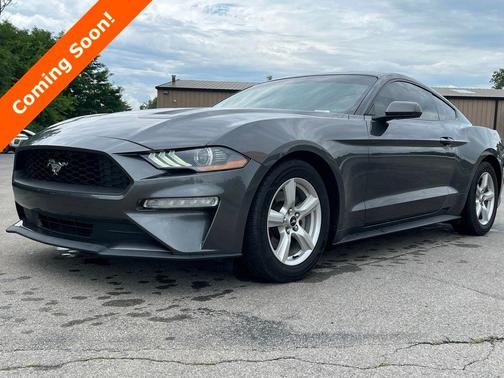 Magnetic 2019 Ford Mustang EcoBoost