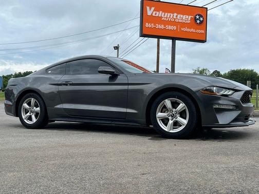 Magnetic 2019 Ford Mustang EcoBoost