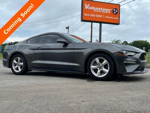 Magnetic 2019 Ford Mustang EcoBoost