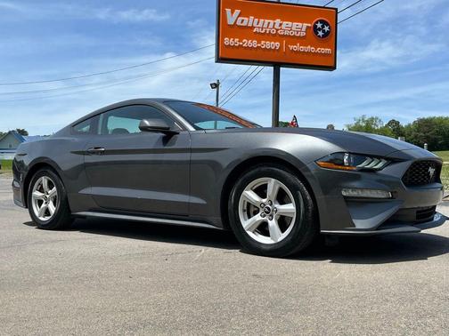 Magnetic 2019 Ford Mustang EcoBoost