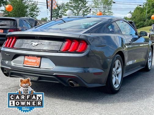 Magnetic 2019 Ford Mustang EcoBoost