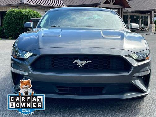Magnetic 2019 Ford Mustang EcoBoost