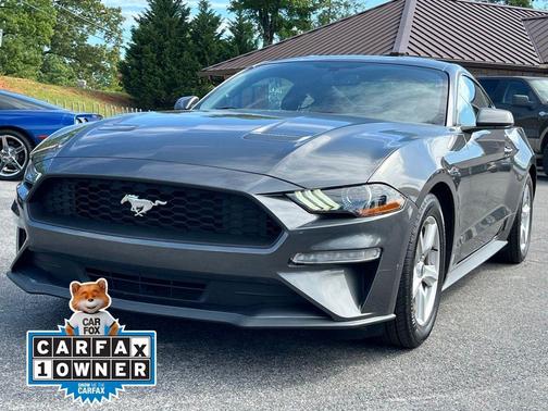 Magnetic 2019 Ford Mustang EcoBoost