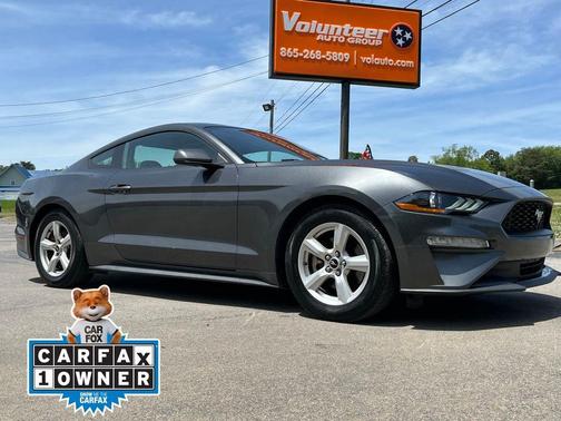 Magnetic 2019 Ford Mustang EcoBoost