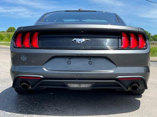 Magnetic 2019 Ford Mustang EcoBoost