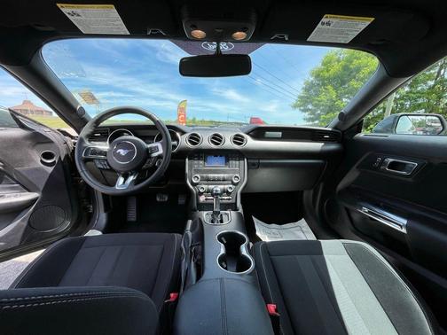 Magnetic 2019 Ford Mustang EcoBoost