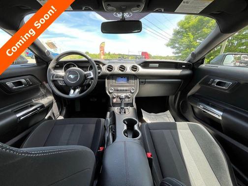 Magnetic 2019 Ford Mustang EcoBoost
