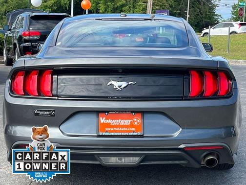 Magnetic 2019 Ford Mustang EcoBoost