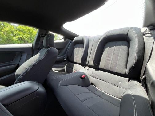Magnetic 2019 Ford Mustang EcoBoost