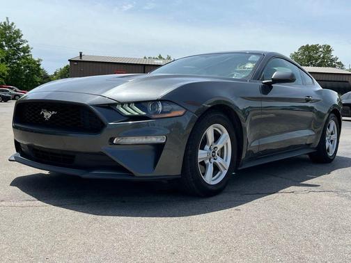 Magnetic 2019 Ford Mustang EcoBoost