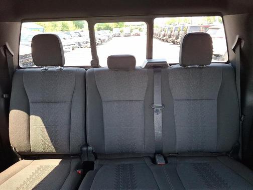 Magnetic 2018 Ford F-150 XLT