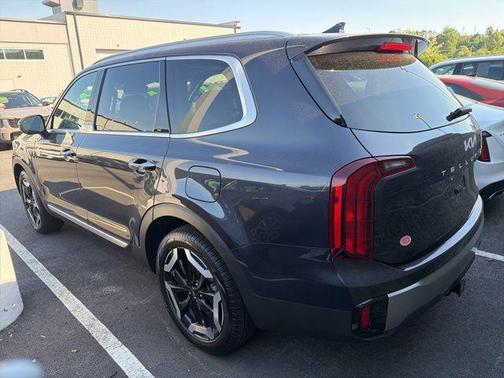 Panthera Metal 2025 Kia Telluride S