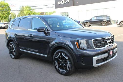 Panthera Metal 2025 Kia Telluride S