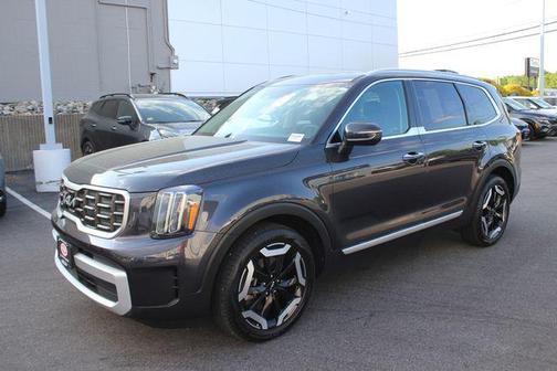 Panthera Metal 2025 Kia Telluride S