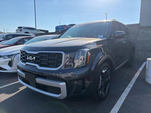 Panthera Metal 2025 Kia Telluride S