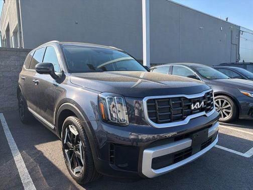 Panthera Metal 2025 Kia Telluride S