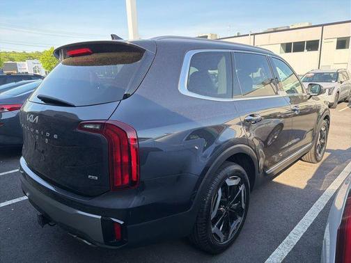 Panthera Metal 2025 Kia Telluride S