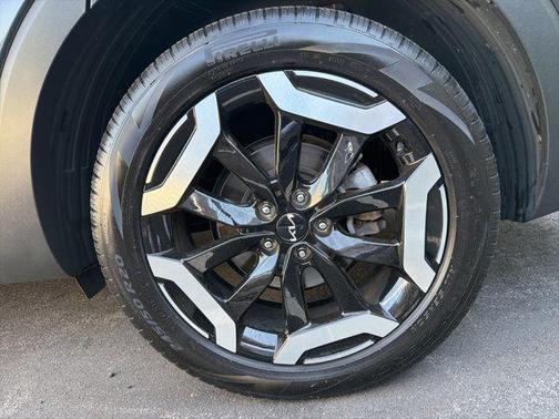Panthera Metal 2025 Kia Telluride S