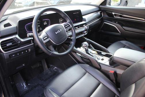 Panthera Metal 2025 Kia Telluride S