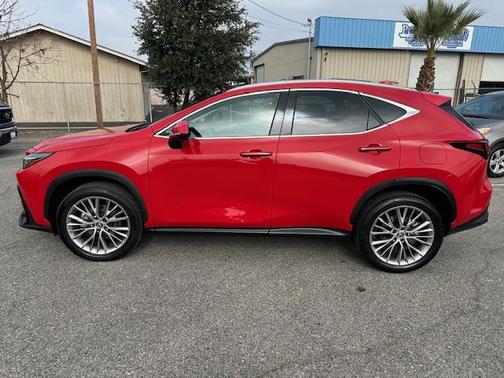 2025 Lexus NX 350h Premium