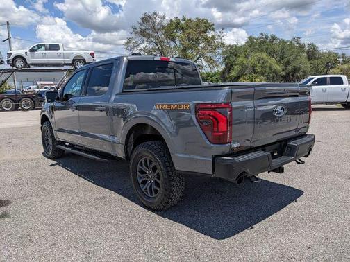 Gray Metallic 2025 Ford F-150 Tremor