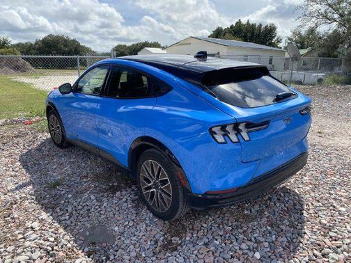 Grabber Blue Metallic 2024 Ford Mustang Mach-E Premium