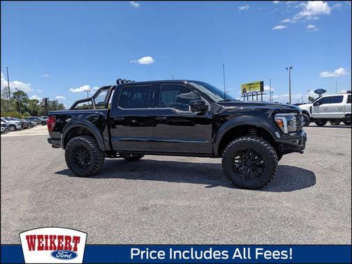 Black Metallic 2025 Ford F-150 Raptor
