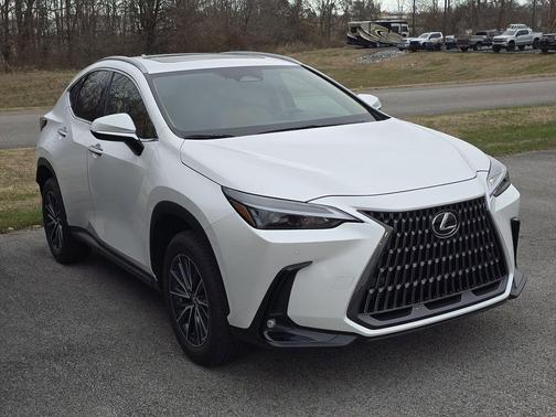 2025 Lexus NX 350 Base