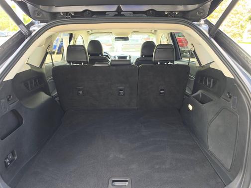 Magnetic 2019 Ford Edge Titanium
